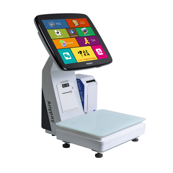 ANYPAY TS9D (ACS) İ5 TERAZİPO FİŞ YAZICILI 11,6'' MÜŞTERİ GÖSTERGELİ